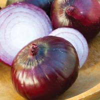 Red Zeppelin Onion