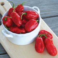 Zavory Pepper