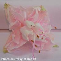 Pink Marshmallow Fuchsia