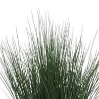 Blue Dart ColorGrass® Juncus