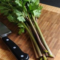 Peppermint Stick Celery