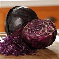 Primero Cabbage