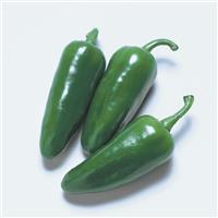 Jalapeño Sweet Poppers Pepper