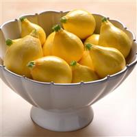 Lemon Drop Squash