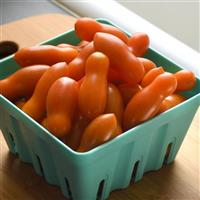 Gold Dipper Tomato
