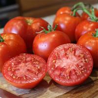 Better Boy Plus Tomato