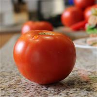 Celebrity Plus Tomato