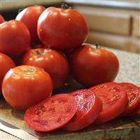 Celebrity Plus Tomato