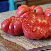Pink Delicious Tomato