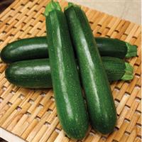 Endeavor Squash