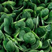 Darkside Spinach