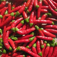 Demon Red Pepper