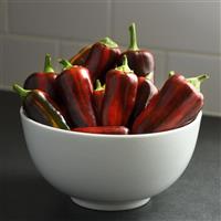 Mocha Swirl Pepper