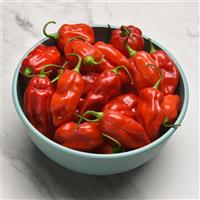 Roulette Pepper