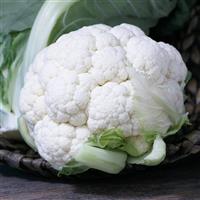 Twister Cauliflower