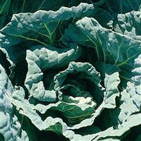 Morris Heading Collards