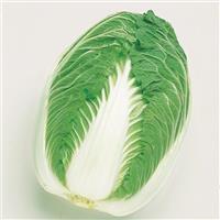 Blues Cabbage