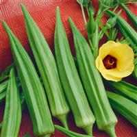 Jade Okra