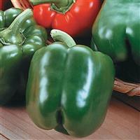King Arthur Pepper