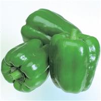 New Ace Pepper