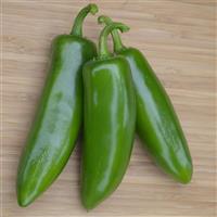 Tricked You Pepper