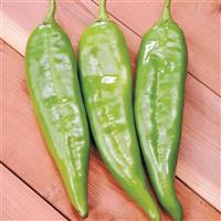 Biggie Chile Pepper