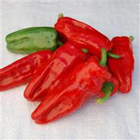 Aleppo Pepper