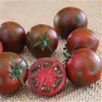 Purple Zebra Tomato
