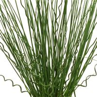 Grass Twisted Arrows Fuseables®