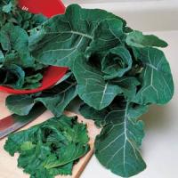 Georgia Collards