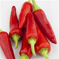 Alter Ego Pepper