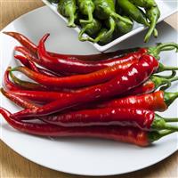 Longhorn Pepper