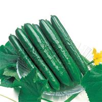 Summer Top Cucumber