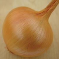 Yellow Sweet Spanish Onion