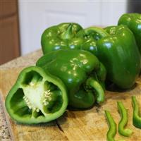 Turnpike Pepper