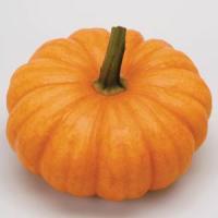 Jack Be Little Pumpkin