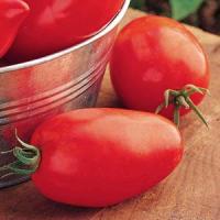Big Mama Tomato