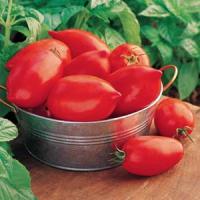 Big Mama Tomato