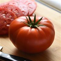 BrightStar Tomato