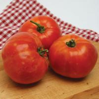 Delicious Tomato