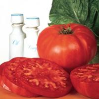 Supersteak Tomato
