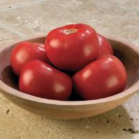 Tasti-Lee<sup>®</sup> Tomato