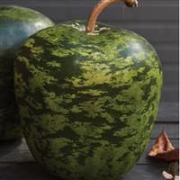 Large Apple Gourd