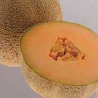 Ball 2076 Melon