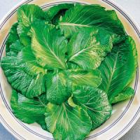 Florida Broadleaf Mustard