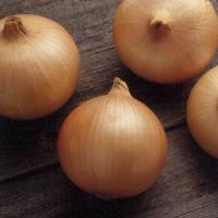 Candy Onion