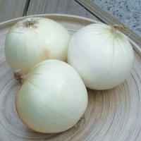White Sweet Spanish Onion