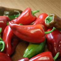 Kaptur Pepper