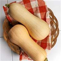 Ceres Squash
