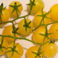 Lemon Cherry Tomato